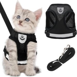 Adjustable Escape Proof Kitten Harness and Lead