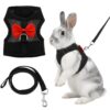 Adjustable Rabbit Harness and Lead Set