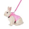 Adjustable Rabbit Harness and Leash Set