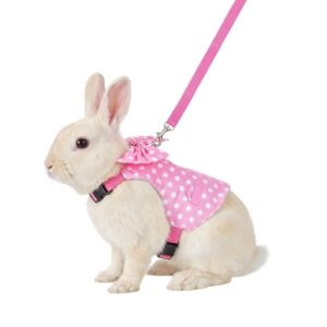 Adjustable Rabbit Harness and Leash Set