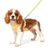 Checkered Plaid Dog Harness and Leash Set