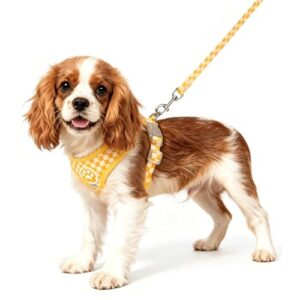 Checkered Plaid Dog Harness and Leash Set