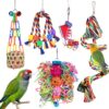 Colorful Bird Chewing and Foraging Toys