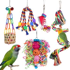 Colorful Bird Chewing and Foraging Toys