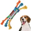 Durable Squeaky Dog Rope Toy for Play