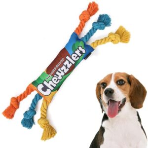 Durable Squeaky Dog Rope Toy for Play