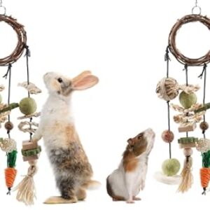 ERKOON Bunny Chew Toys - Pack of 2