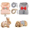 Escape-Proof Rabbit Harness and Leash Set