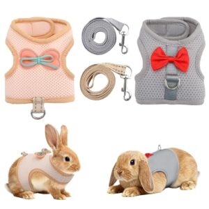 Escape-Proof Rabbit Harness and Leash Set