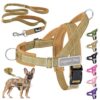Eyein No Pull Harness for Medium Dogs
