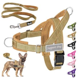 Eyein No Pull Harness for Medium Dogs