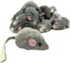 Furry Rattle Mouse Cat Toy Set