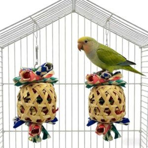 Interactive Bird Chewing and Foraging Toys