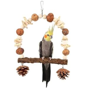 Interactive Bird Swing Toy for Parrots
