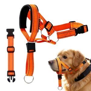 Lightweight No Pull Dog Head Collar Set