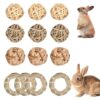 Natural Chew Toys for Small Pets