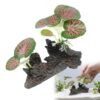 Natural Driftwood Decor for Aquariums