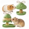 Natural Guinea Pig Chew Toys - 2 Pack