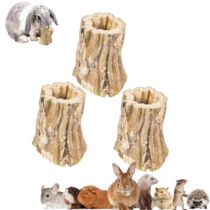 Natural Papaya Chew Sticks for Small Pets
