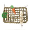 Natural Seagrass Parrot Foraging Activity Mat