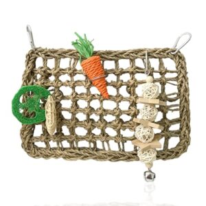 Natural Seagrass Parrot Foraging Activity Mat