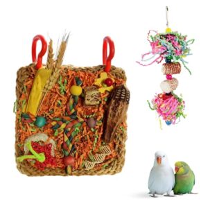 Natural Wood Parrot Chew Toys - 2 Pack