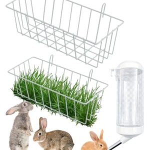 Rabbit Hay Feeder and Water Bottle Set
