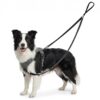 Reflective Double Ended Dog Leash