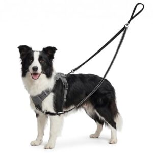 Reflective Double Ended Dog Leash