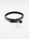 RFID Cat Collar for Selective Cat Flaps