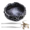 Versatile Reptile Water Bowl with Tweezers