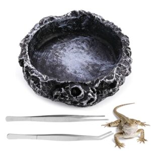 Versatile Reptile Water Bowl with Tweezers