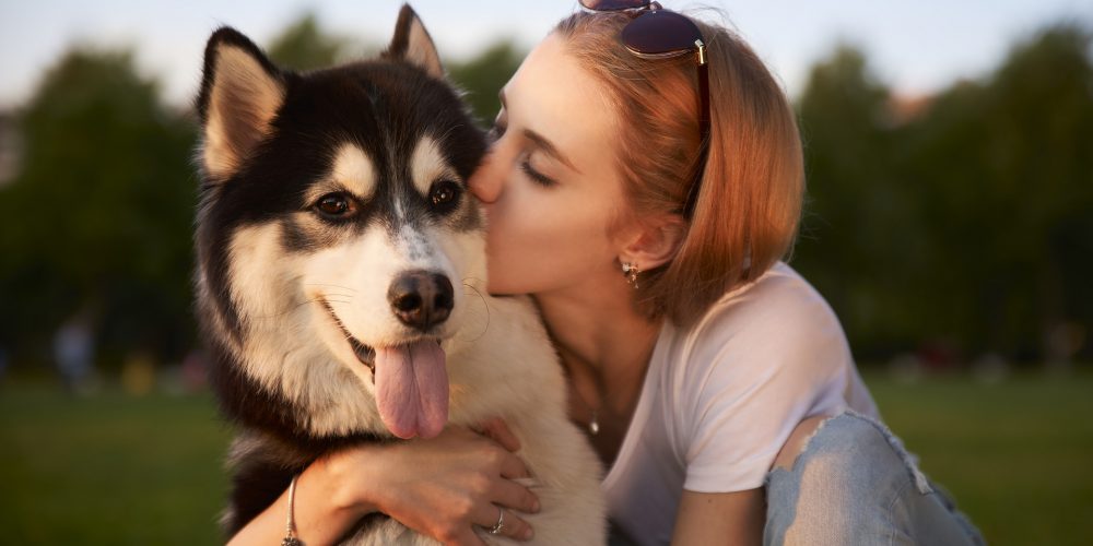 Ways to improve your relationship with your dog