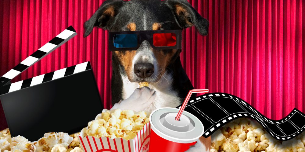23 great dog names for movie lovers in 2020