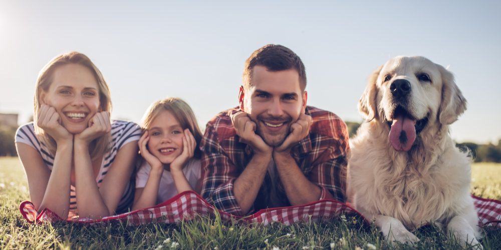 Which dogs are good with kids?