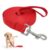 Red Nylon Dog Training Lead for Puppies
