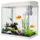 Filtered Glass Aquarium for Fish and Shrimps