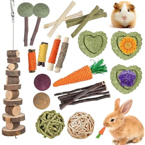 Dental Chew Toy Set For Small Animals