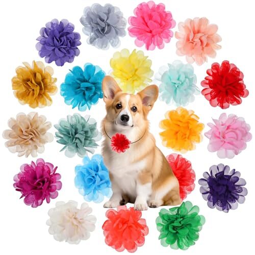 Dog Collar Flowers 20 Pack Multi-Colour Chiffon