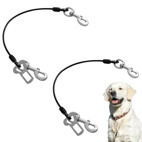 Dog Seat Belt Lead for Dogs under 24 kg