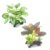 Artificial Terrarium Plants for Reptiles and Fish