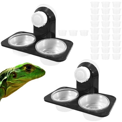 Vokowin Suction Cup Feeding Ledge for Reptiles