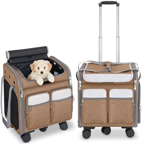 Cat Carrier for Small & Medium Pets