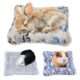 Chausa Plush Guinea Pig Bed for Small Animals