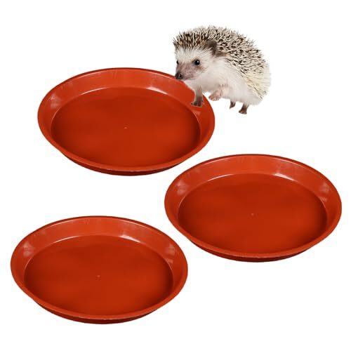 Low-Profile Hedgehog Feeding Bowl for Small Animals