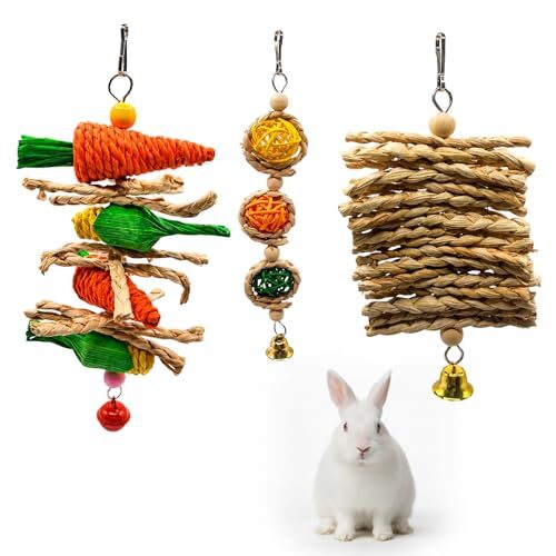 Natural Small Animal Chew Toys 3 Pack