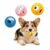 3-Pack Dog Squeak Toy for Small Dogs