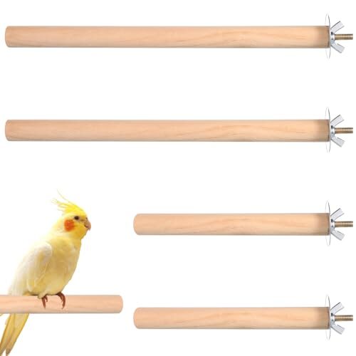 Wooden Bird Perches For Cages 4 Pack
