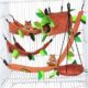 5 Piece Hanging Small Animal Hammock Set