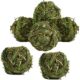 Camiter Timothy Grass Chew Ball For Small Animals